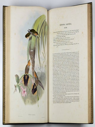 A monograph of the trochilidæ or family of humming-birds WITH A monograph of the trochilidæ or family of humming-birds by John Gould, F.R.S. completed after the author’s death by R. Bowdler Sharpe, F.L.S. &c., zoological department, British Museum. Supplement