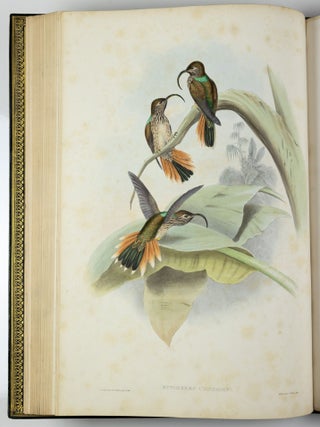 A monograph of the trochilidæ or family of humming-birds WITH A monograph of the trochilidæ or family of humming-birds by John Gould, F.R.S. completed after the author’s death by R. Bowdler Sharpe, F.L.S. &c., zoological department, British Museum. Supplement