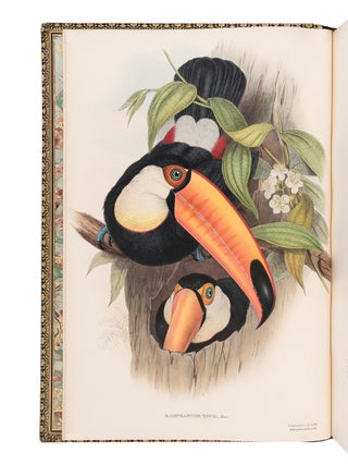 A monograph of the ramphastid&aelig;, or family of toucans