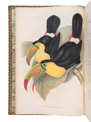 A monograph of the ramphastidæ, or family of toucans