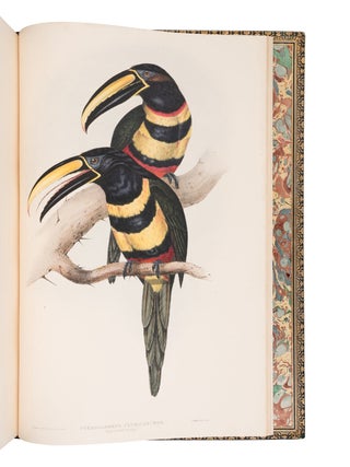 A monograph of the ramphastidæ, or family of toucans