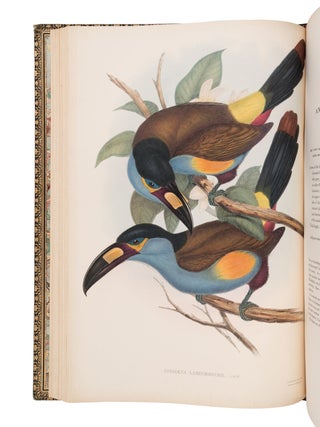 A monograph of the ramphastid&aelig;, or family of toucans