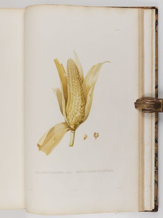 Histoire naturelle, agricole et &eacute;conomique du ma&iuml;s
