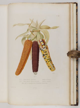 Histoire naturelle, agricole et &eacute;conomique du ma&iuml;s
