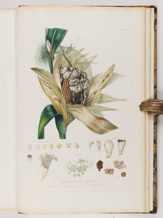 Histoire naturelle, agricole et &eacute;conomique du ma&iuml;s
