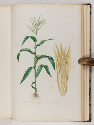 Histoire naturelle, agricole et &eacute;conomique du ma&iuml;s