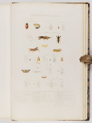 Histoire naturelle, agricole et &eacute;conomique du ma&iuml;s