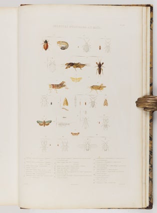 Histoire naturelle, agricole et économique du maïs