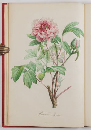 Description des plantes rares cultivées a Malmaison et a Navarre