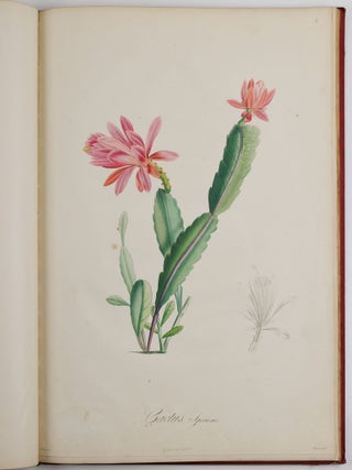 Description des plantes rares cultiv&eacute;es a Malmaison et a Navarre