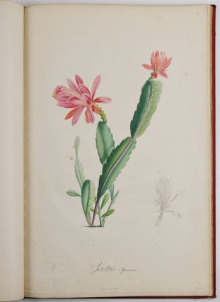 Description des plantes rares cultivées a Malmaison et a Navarre