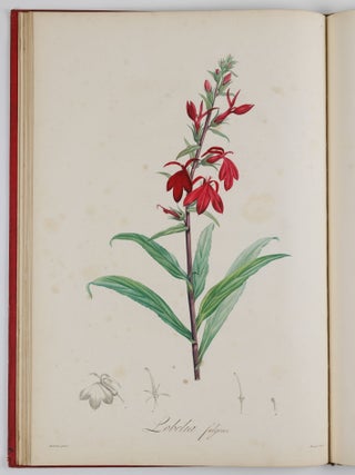 Description des plantes rares cultiv&eacute;es a Malmaison et a Navarre