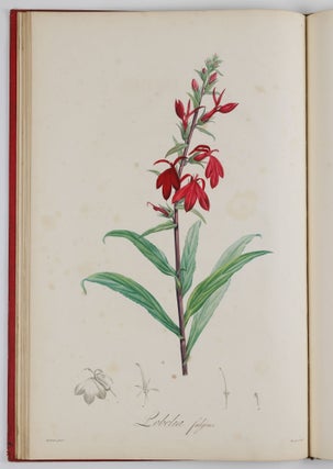 Description des plantes rares cultivées a Malmaison et a Navarre
