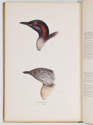 A synopsis of the birds of Australia, and the adjacent islands