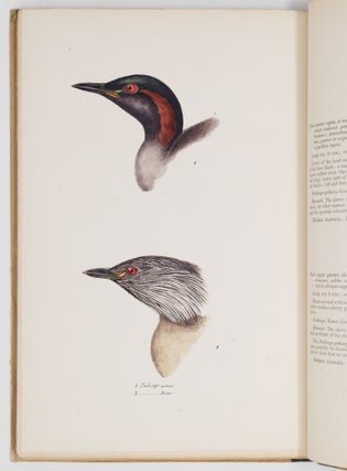 A synopsis of the birds of Australia, and the adjacent islands