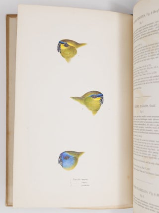 A synopsis of the birds of Australia, and the adjacent islands