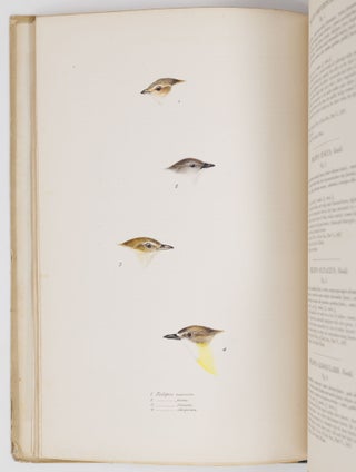 A synopsis of the birds of Australia, and the adjacent islands