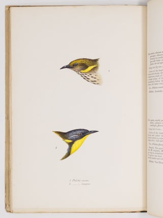 A synopsis of the birds of Australia, and the adjacent islands