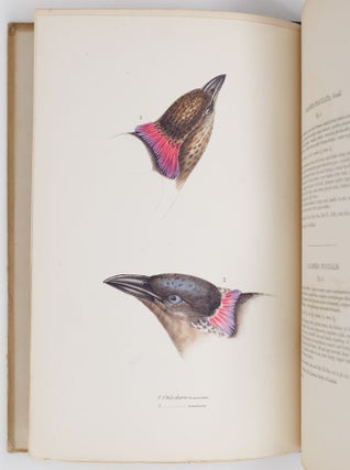 A synopsis of the birds of Australia, and the adjacent islands