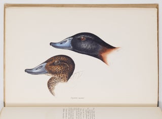 A synopsis of the birds of Australia, and the adjacent islands