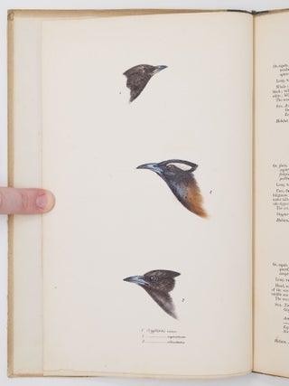 A synopsis of the birds of Australia, and the adjacent islands