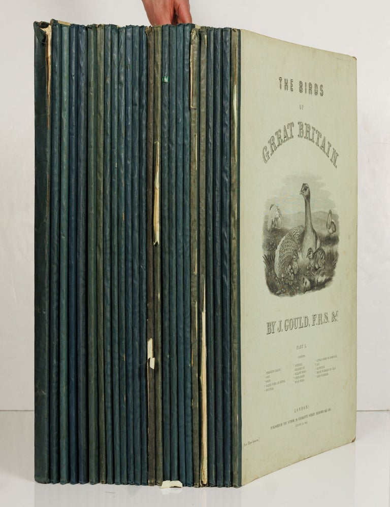 Livre Rare : British Birds 1840, 1ère édition, The Religious Tract Society - Ornithologie Ancienne