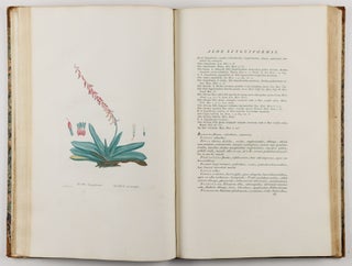 Plantarum succulentarum historia. Ou histoire naturelle des plantes grasses. Avec figures dessinées par P. J. Redouté et décrites par A. P. Décandolle