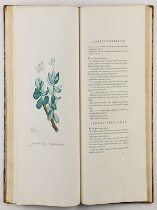 Plantarum succulentarum historia. Ou histoire naturelle des plantes grasses. Avec figures dessinées par P. J. Redouté et décrites par A. P. Décandolle