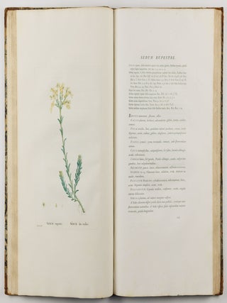 Plantarum succulentarum historia. Ou histoire naturelle des plantes grasses. Avec figures dessin&eacute;es par P. J. Redout&eacute; et d&eacute;crites par A. P. D&eacute;candolle