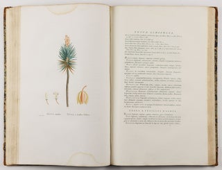 Plantarum succulentarum historia. Ou histoire naturelle des plantes grasses. Avec figures dessinées par P. J. Redouté et décrites par A. P. Décandolle