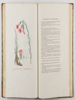 Plantarum succulentarum historia. Ou histoire naturelle des plantes grasses. Avec figures dessin&eacute;es par P. J. Redout&eacute; et d&eacute;crites par A. P. D&eacute;candolle