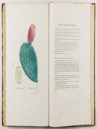 Plantarum succulentarum historia. Ou histoire naturelle des plantes grasses. Avec figures dessin&eacute;es par P. J. Redout&eacute; et d&eacute;crites par A. P. D&eacute;candolle