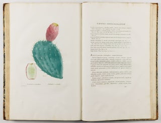 Plantarum succulentarum historia. Ou histoire naturelle des plantes grasses. Avec figures dessinées par P. J. Redouté et décrites par A. P. Décandolle