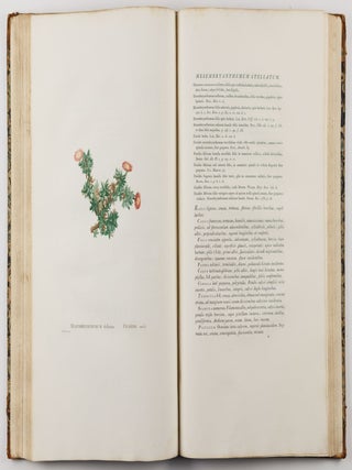 Plantarum succulentarum historia. Ou histoire naturelle des plantes grasses. Avec figures dessin&eacute;es par P. J. Redout&eacute; et d&eacute;crites par A. P. D&eacute;candolle