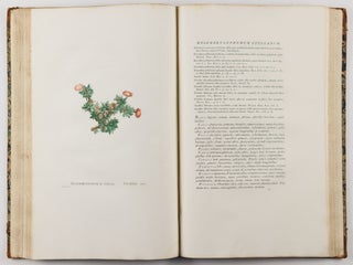 Plantarum succulentarum historia. Ou histoire naturelle des plantes grasses. Avec figures dessinées par P. J. Redouté et décrites par A. P. Décandolle