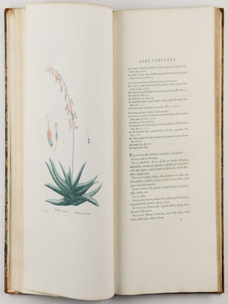 Plantarum succulentarum historia. Ou histoire naturelle des plantes grasses. Avec figures dessin&eacute;es par P. J. Redout&eacute; et d&eacute;crites par A. P. D&eacute;candolle