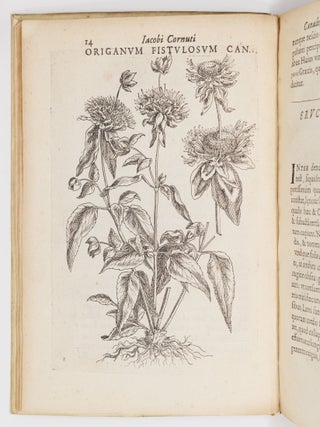 Iac. Cornuti doctoris medici parisiensis Canadensium plantarum, aliar&uacute;mque nondum editarum Historia. Cui adiectum est ad calcem Enchiridion botanicum parisiense, Continens Indicem Plantarum, qu&aelig; in Pagis, Siluis, Pratis, & Montosis iuxta Parisios locis nascuntur