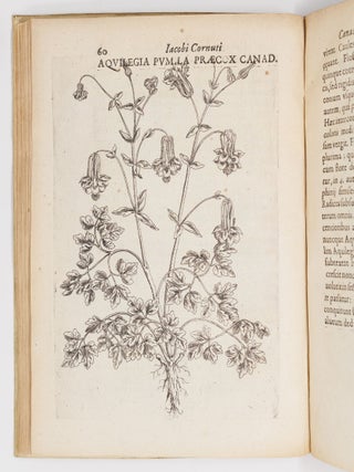 Iac. Cornuti doctoris medici parisiensis Canadensium plantarum, aliar&uacute;mque nondum editarum Historia. Cui adiectum est ad calcem Enchiridion botanicum parisiense, Continens Indicem Plantarum, qu&aelig; in Pagis, Siluis, Pratis, & Montosis iuxta Parisios locis nascuntur
