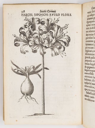 Iac. Cornuti doctoris medici parisiensis Canadensium plantarum, aliar&uacute;mque nondum editarum Historia. Cui adiectum est ad calcem Enchiridion botanicum parisiense, Continens Indicem Plantarum, qu&aelig; in Pagis, Siluis, Pratis, & Montosis iuxta Parisios locis nascuntur