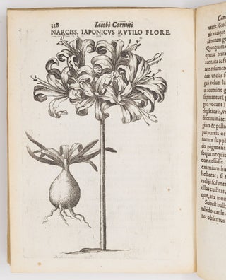Iac. Cornuti doctoris medici parisiensis Canadensium plantarum, aliarúmque nondum editarum Historia. Cui adiectum est ad calcem Enchiridion botanicum parisiense, Continens Indicem Plantarum, quæ in Pagis, Siluis, Pratis, & Montosis iuxta Parisios locis nascuntur