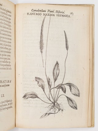 Iac. Cornuti doctoris medici parisiensis Canadensium plantarum, aliar&uacute;mque nondum editarum Historia. Cui adiectum est ad calcem Enchiridion botanicum parisiense, Continens Indicem Plantarum, qu&aelig; in Pagis, Siluis, Pratis, & Montosis iuxta Parisios locis nascuntur