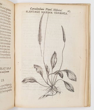 Iac. Cornuti doctoris medici parisiensis Canadensium plantarum, aliarúmque nondum editarum Historia. Cui adiectum est ad calcem Enchiridion botanicum parisiense, Continens Indicem Plantarum, quæ in Pagis, Siluis, Pratis, & Montosis iuxta Parisios locis nascuntur