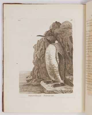 Genera of birds