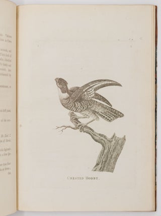 Genera of birds
