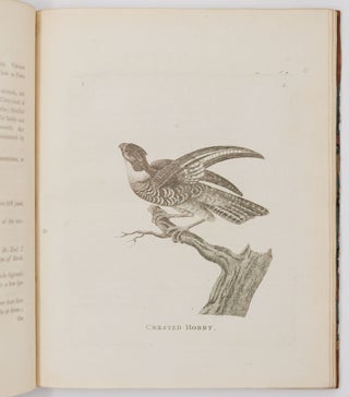 Genera of birds