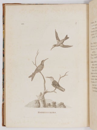 Genera of birds