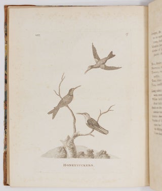Genera of birds