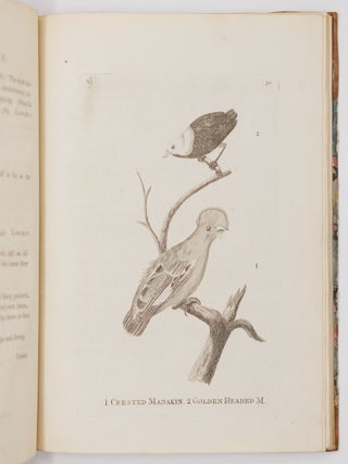 Genera of birds