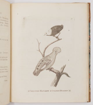 Genera of birds