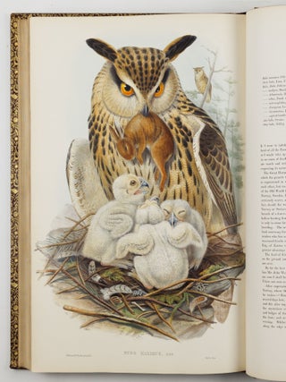 The birds of Great Britain